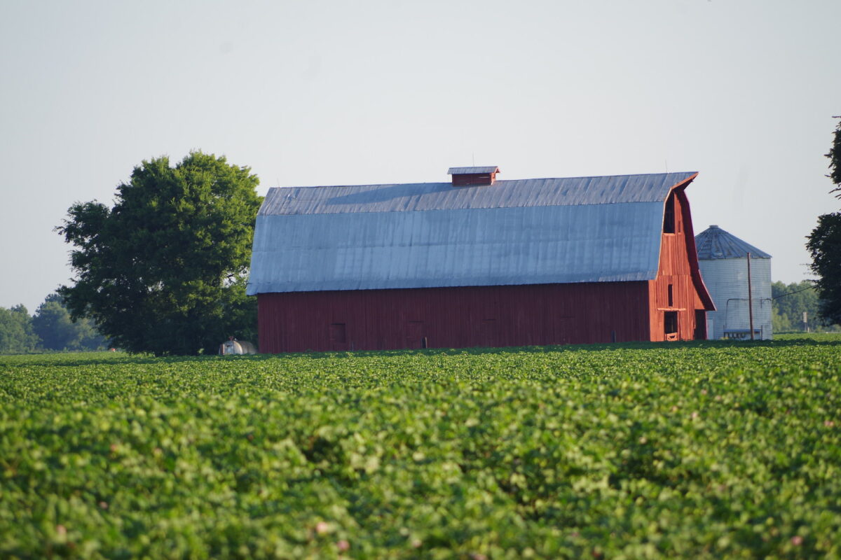 Arkansas Farm Bureau Hires Hopkins for Local Affairs, Rural Development Role