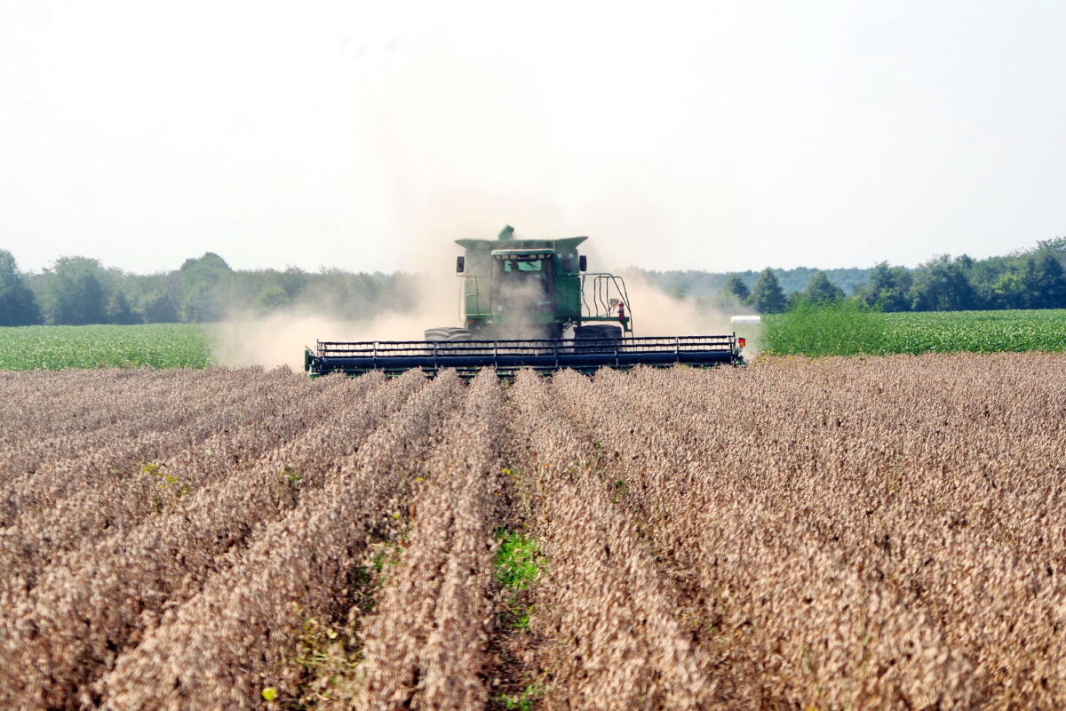 EPA gives farmers OK to use dicamba products this season