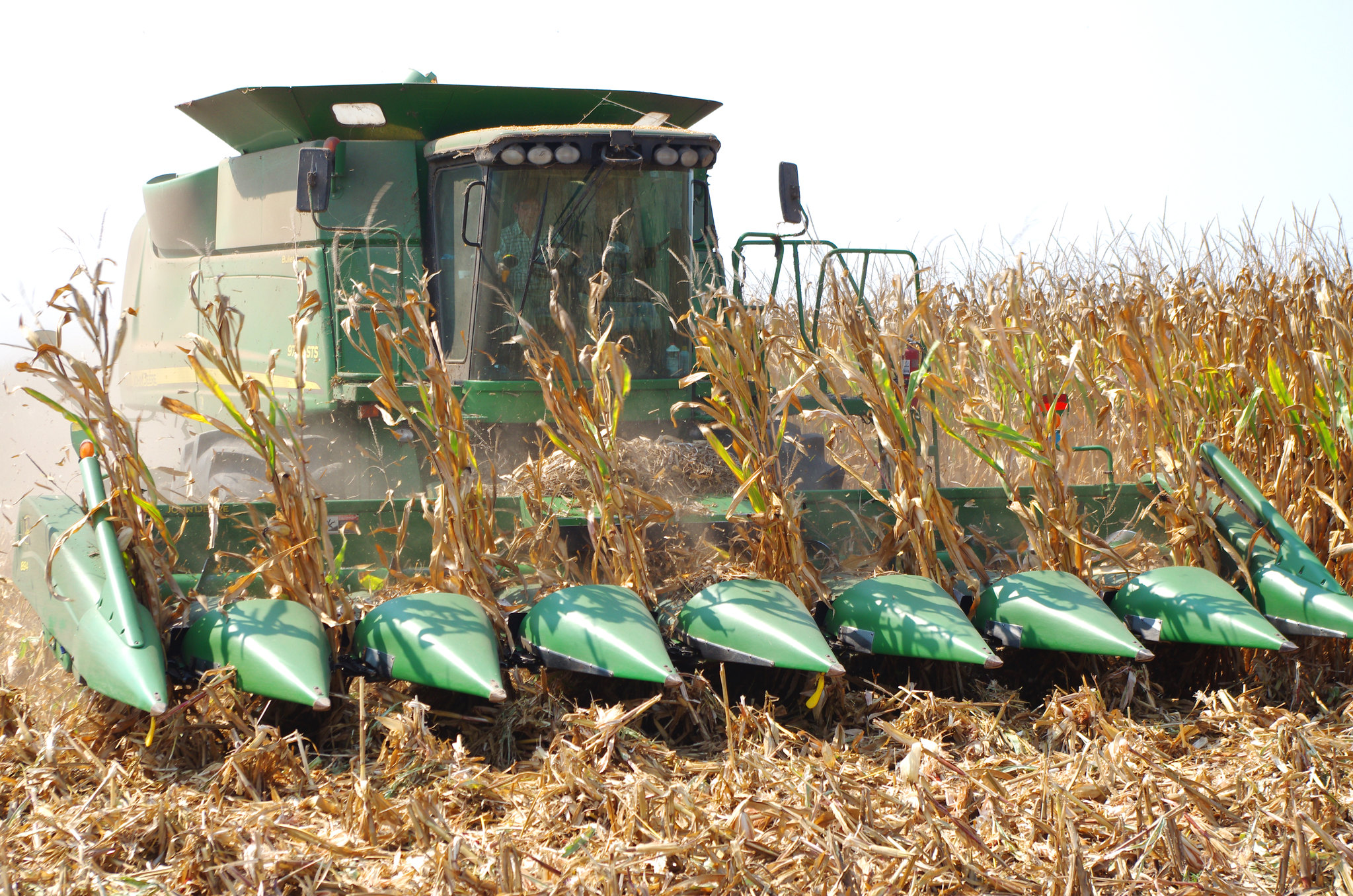 Market Briefs | August 20, 2024 - ARFB Digital Magazine