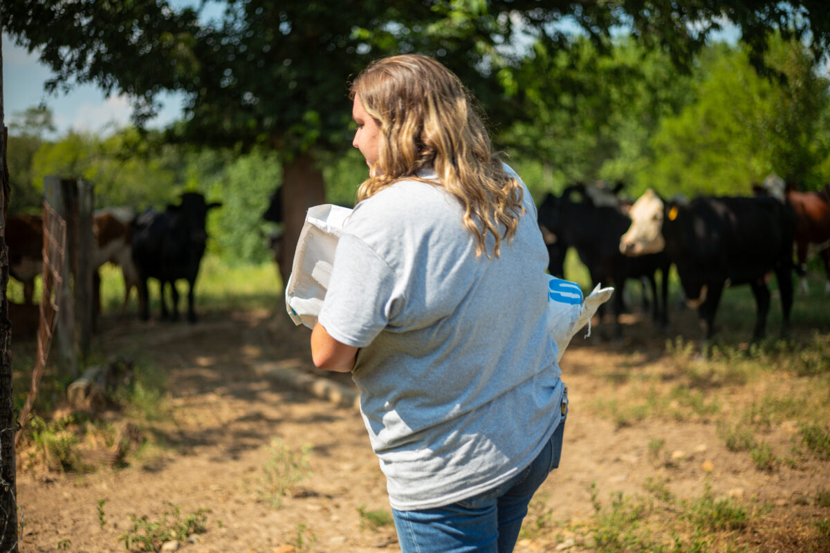 September 2025 Ag Insider | Farm Bankruptcies on the Rise: What It Means for Young Farmers and the Future of Southern Agriculture
