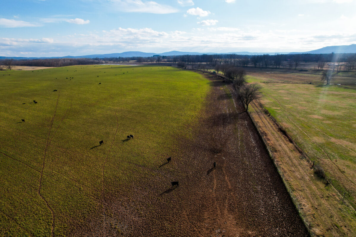 Real Estate Rising: Farmland Values Hit Record High