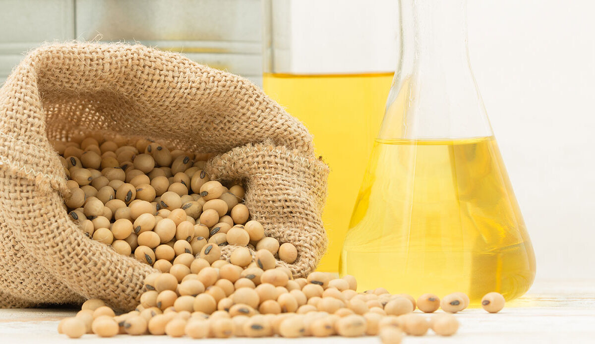 April 2025 Ag Insider | Seed Oil Combined