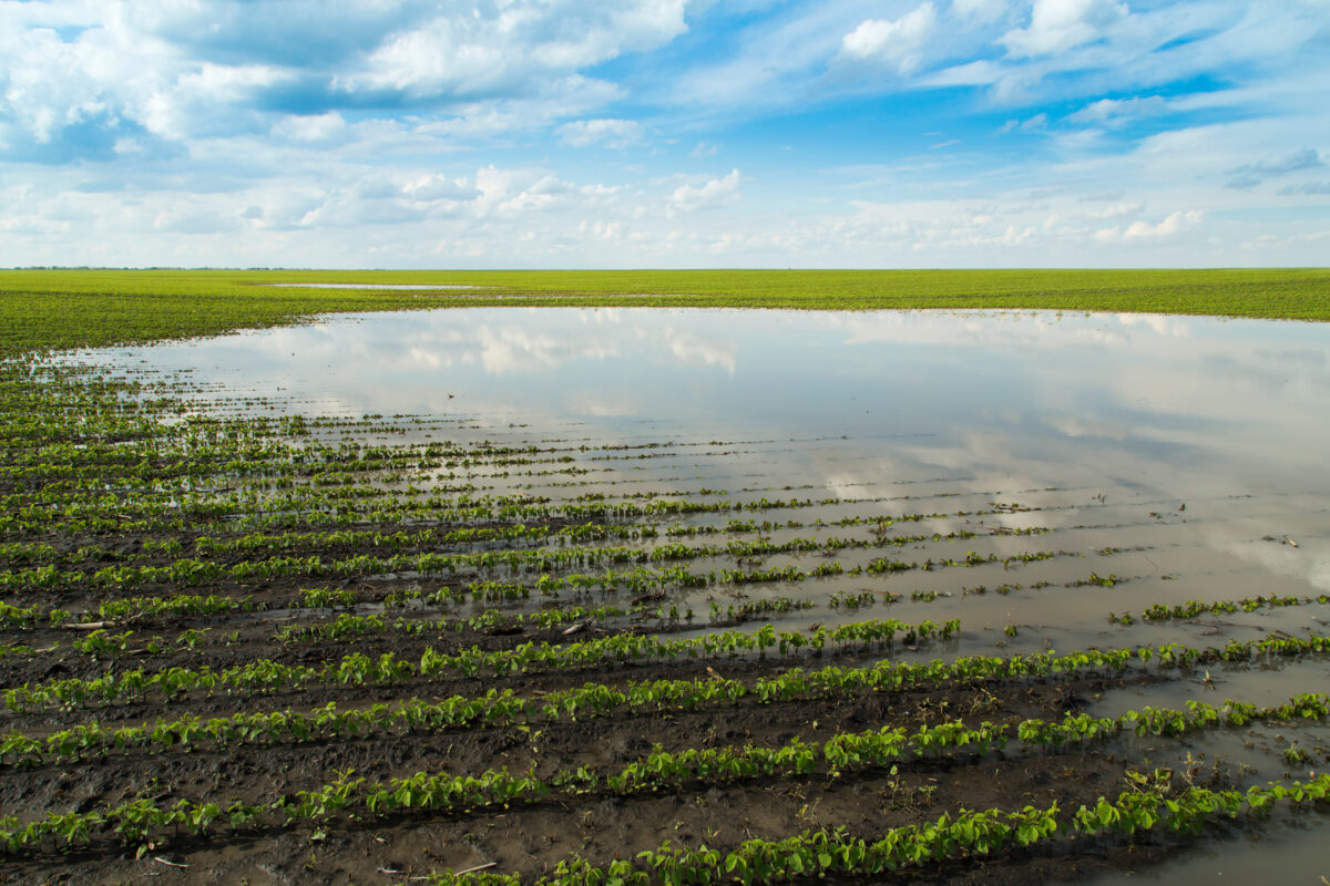 Market Briefs | June 11, 2025