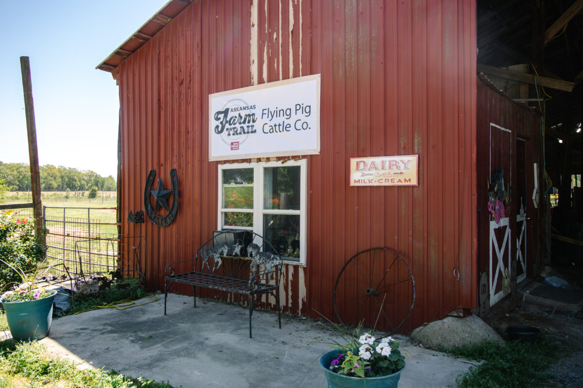 Taste Arkansas | Flying Pig Ice Cream