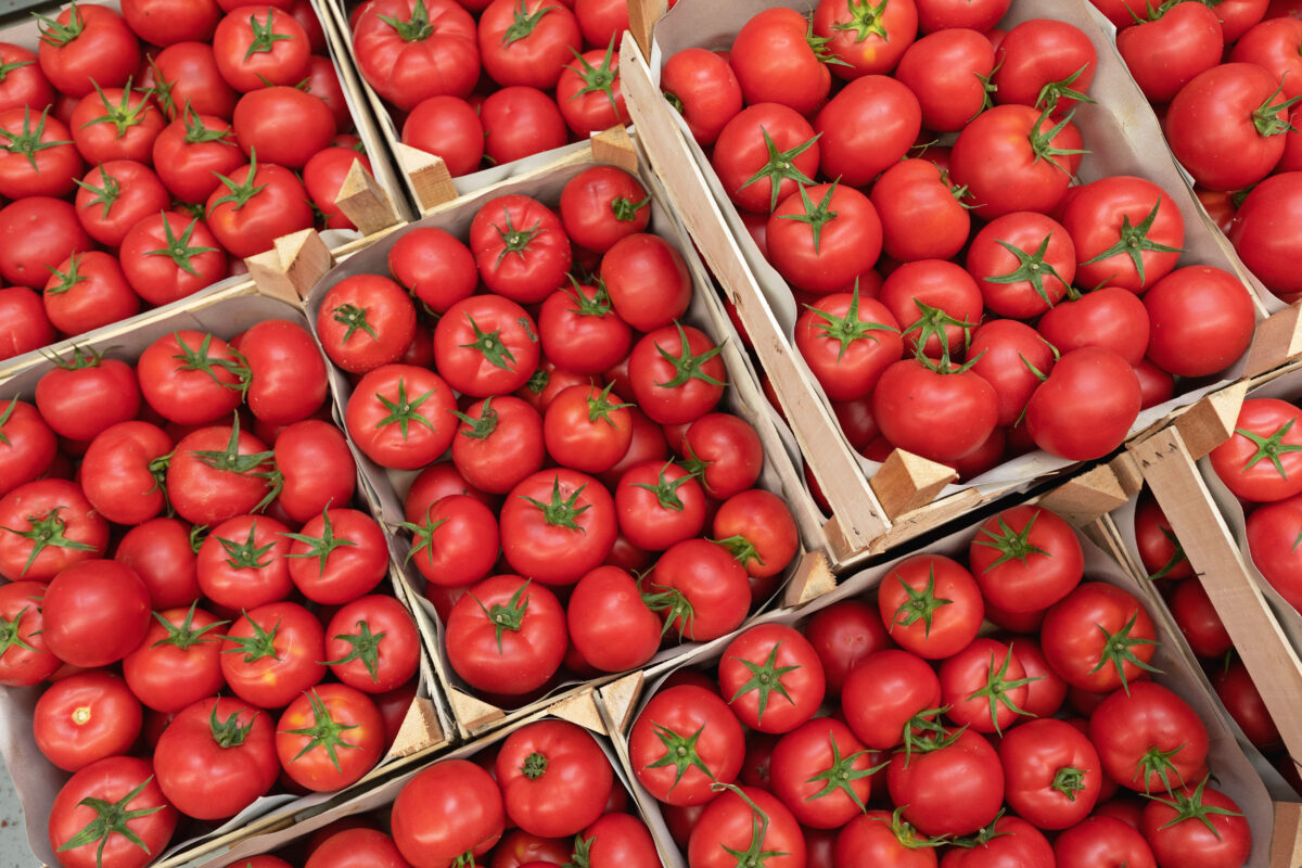 July 2025 Ag Insider | The U.S.–Mexico Tomato Suspension Agreement: Its Role in Trade, Market Dynamics and the Future for U.S. Tomato Growers