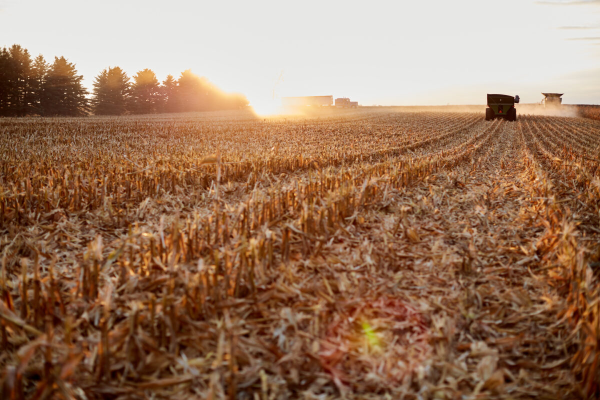 Market Briefs | September 3, 2025
