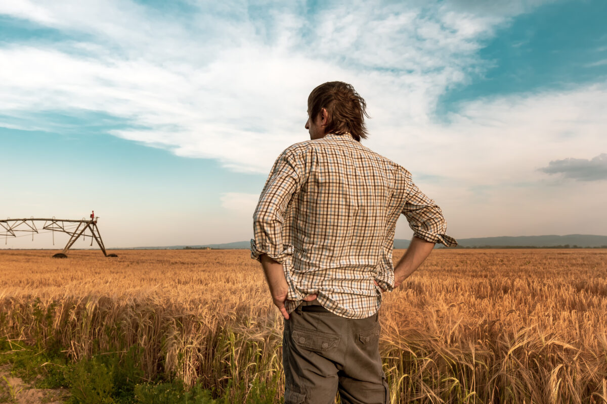 September 2025 Ag Insider | Farm Bankruptcies on the Rise: What It Means for Young Farmers and the Future of Southern Agriculture