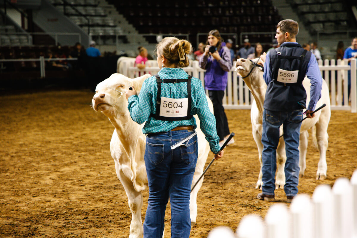 Market Briefs | October 15, 2025