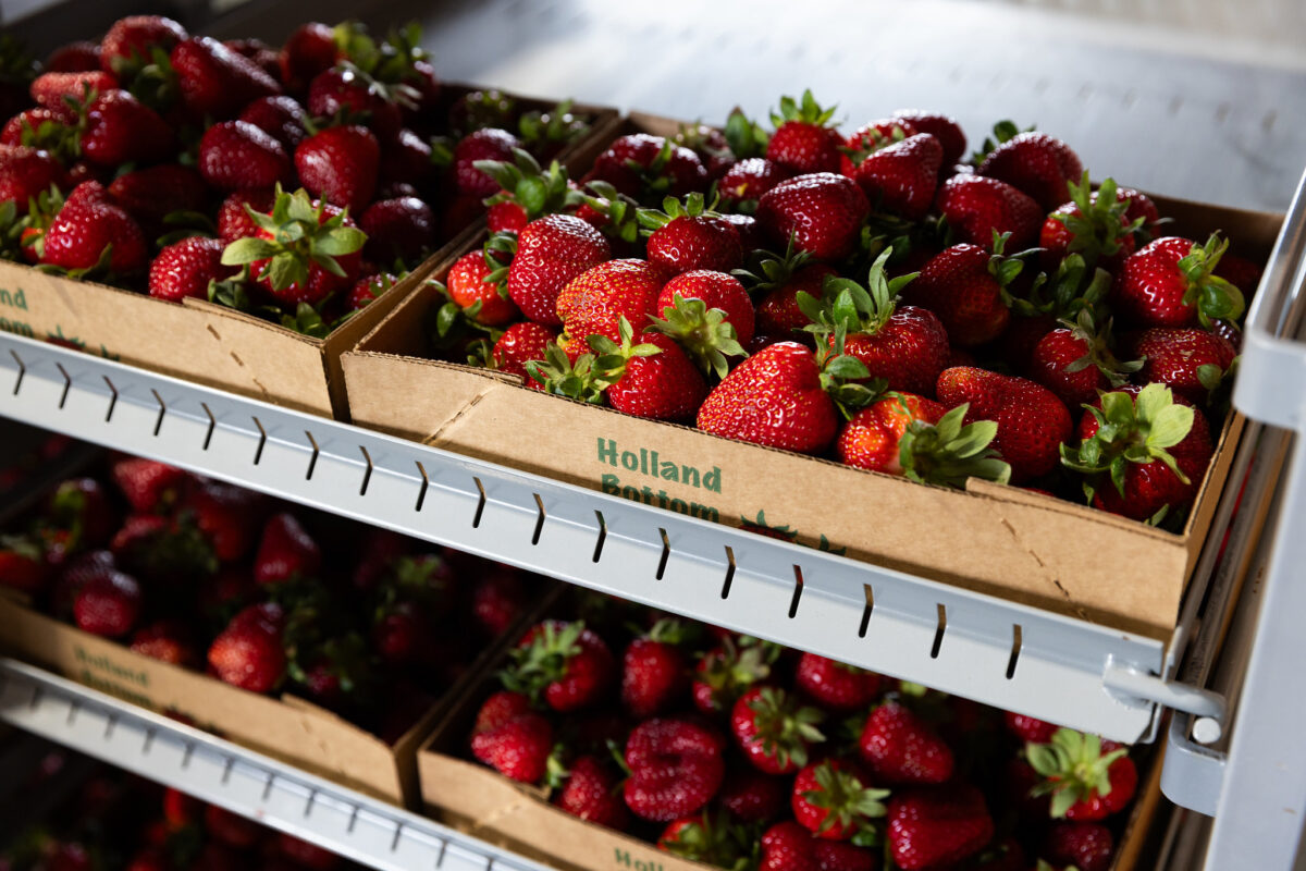 Market Briefs | March 20, 2026