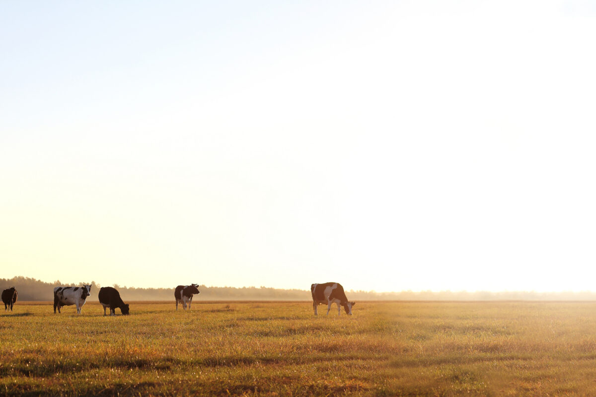 Market Briefs | March 4, 2026