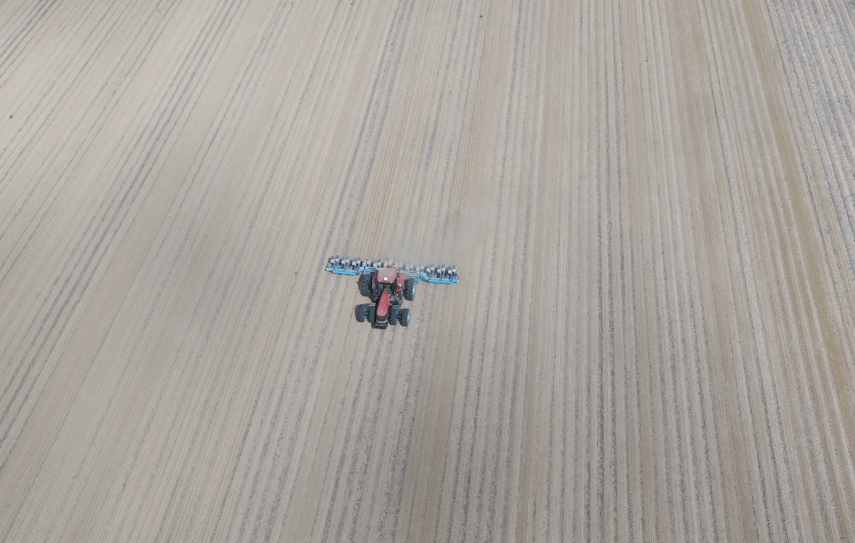 April 2026 Ag Insider | Prospective Plantings