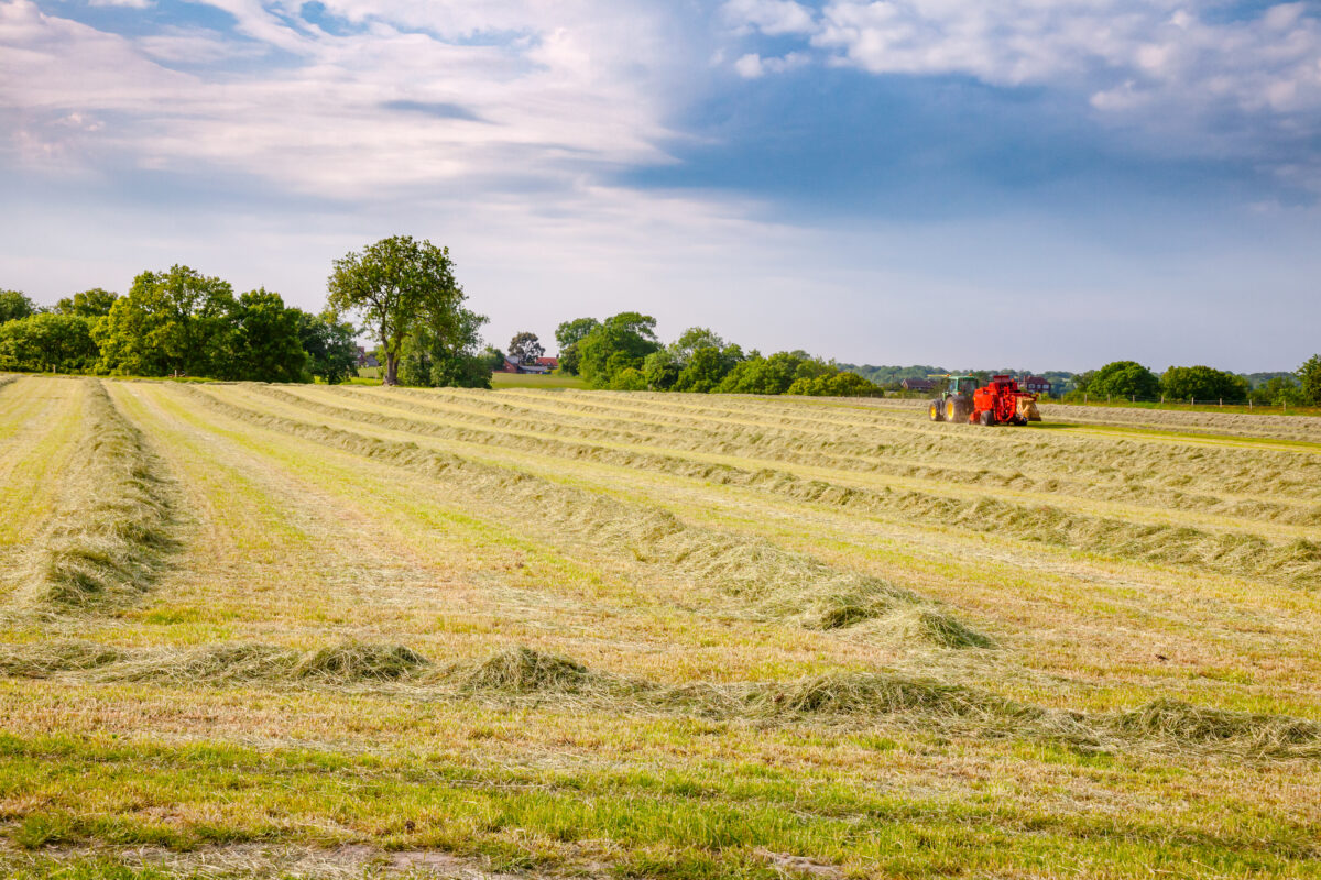 Market Briefs | July 10, 2026