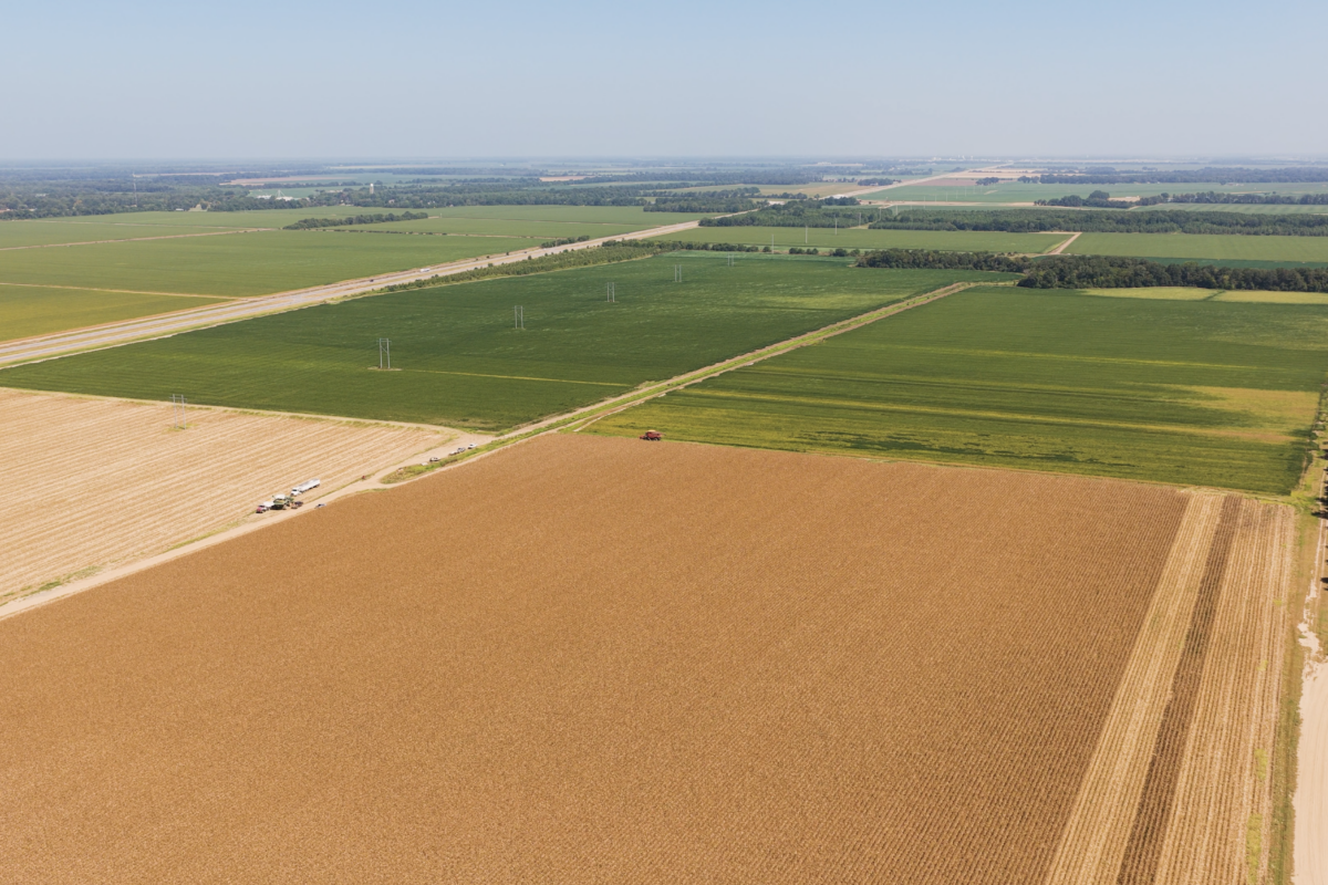 Market Briefs | August 21, 2026