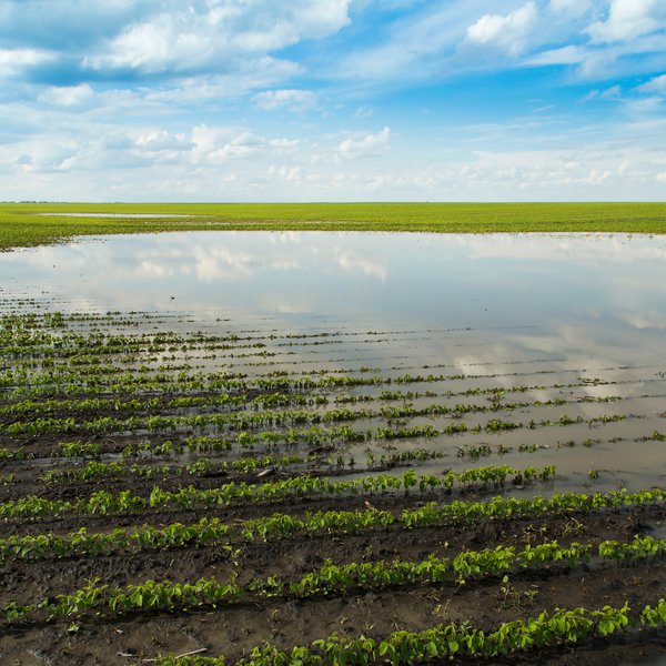 Market Briefs | May 27, 2026