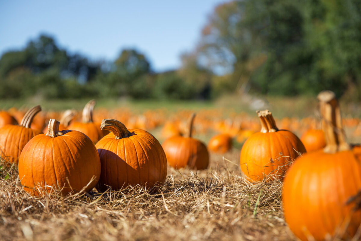 Market Briefs | October 2, 2026